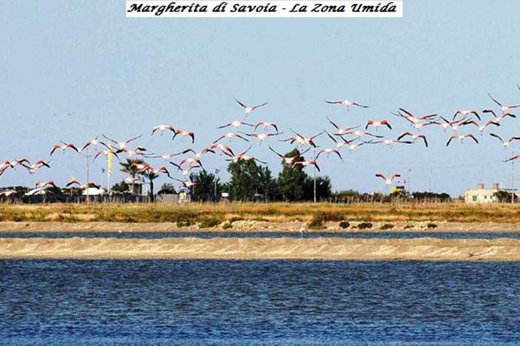 Hotel Tenuta San Francesco Barletta Zewnętrze zdjęcie